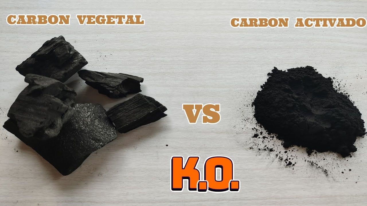 🖤Carbón VEGETAL vs Carbón ACTIVADO, ORO Negro en tus Plantas🌹