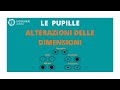 LE PUPILLE | ALTERAZIONI DELLE DIMENSIONI | INFERMIERI online
