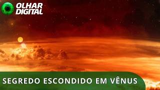 Miniatura do vídeo