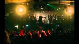 La Burruda Lyrics English Translation