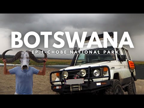 BOTSWANA Chobe selfdrive safari - Overlanding Africa - Botswana EP1