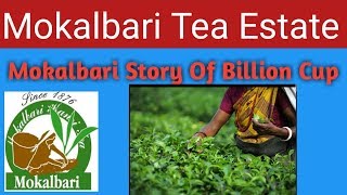 preview picture of video 'Mokalbari Tea Estate'