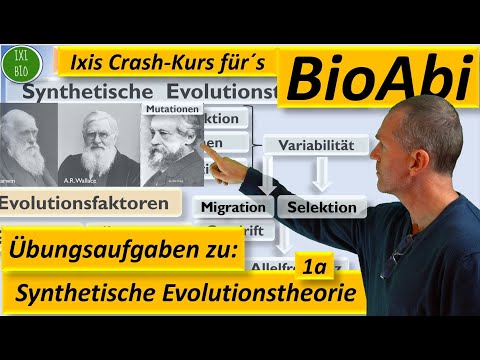 Synthetische Evolutionstheorie 1a - Anwendungsaufgaben zur Vorbereitung aufs Abitur Teil A