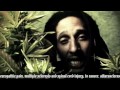 BobMarley - Boom Draw 