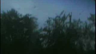 preview picture of video '1 of the outer rain bands from tropical storm Hanna'