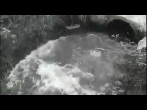 Aku wes ndak kuat mak