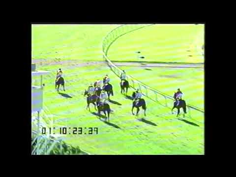 St Jude 1991 BTC Cup