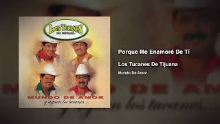 POR QUE ME ENAMORE DE TI LOS TUCANES DE TIJUANA