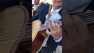 el herradero 