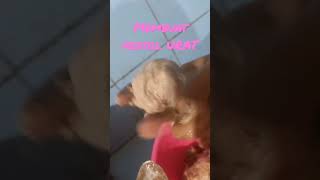 Download lagu salam youtuber..membuat pentol Urat mp3