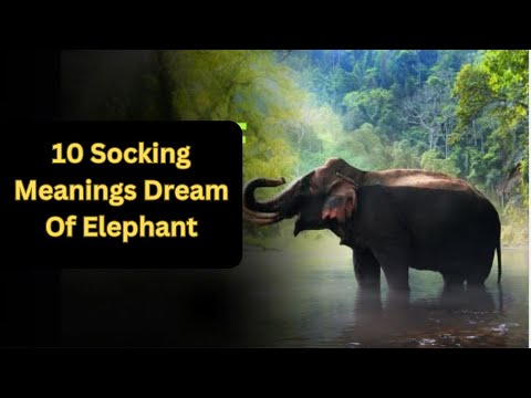 Biblical Meaning of Elephant In Dream | Dream Meaning of Elephant