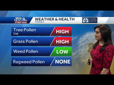 Pollen Count Today York Pa