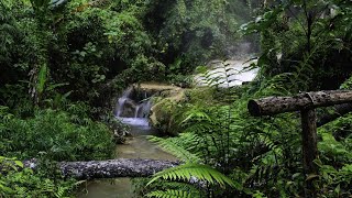 10 Minute Nature Meditation Music – Relaxing Sounds for Deep Peace & Inner Healing