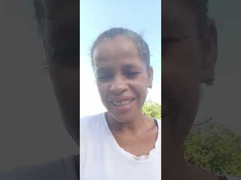 Castração gratuita na região de jacaré dos homens Alagoas URGENTE, SOCORRO, SOCORRO!!