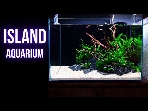 Simple nano ISLAND AQUASCAPE as your FIRST PLANTED AQUARIUM | BEGINNER AQUASCAPE TUTORIAL | EP1
