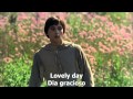 Donovan • Lovely Day (Brother Sun, Sister Moon)