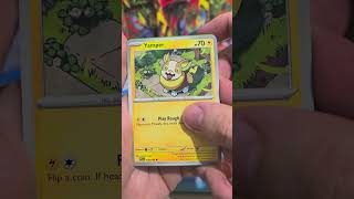 Pokemon Day 2026 Collection Box #pokemontcg #pokemon #pokemoncards #pokemonday2026