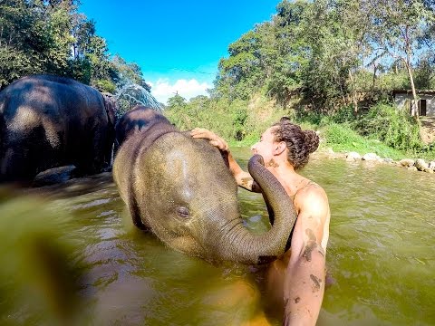 Experiência de vida: Conheça um lindo santuário de elefantes
