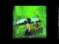 Not Guilty - The Mr. T Experience - Our Bodies Ourselves