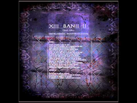 13 - S.R.G. - Banii [Part. 2].