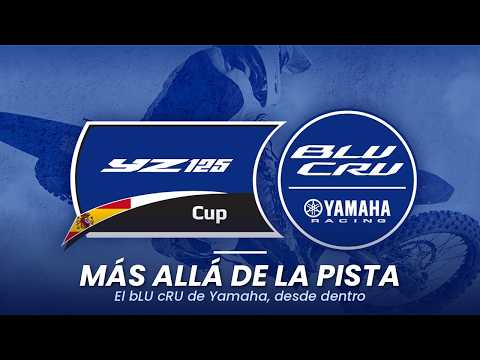 Video de YouTube