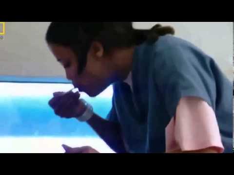 Doku Deutsch Americas Hardest Prisons Hd   Full Documentary 2015 Neu