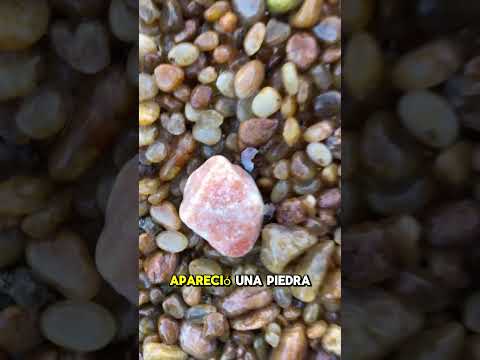 INCREIBLE hallazgo: encontró ORO y piedras preciosas en el RÍO😱💰