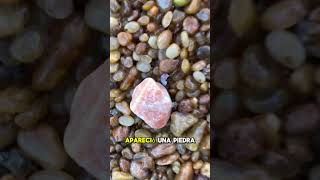 INCREIBLE hallazgo: encontró ORO y piedras preciosas en el RÍO😱💰