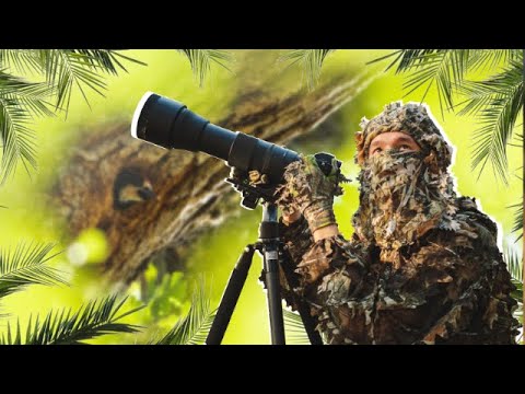 Wildlife Photography Adventure | A Hidden Nest