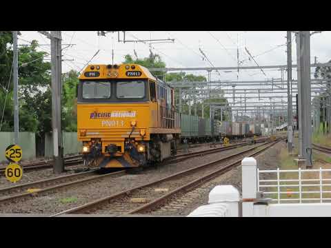 Pacific National Queensland Trains at Sherwood and Corinda