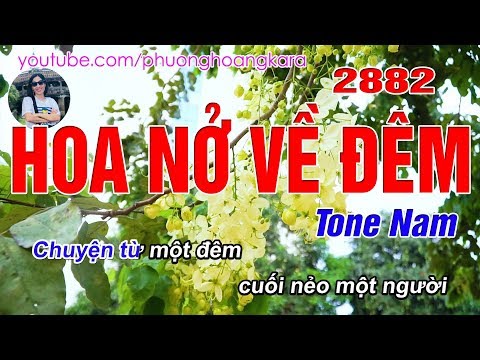 Hoa Nở Về Đêm 2882 (C#m) Tone Nam - Karaoke Bolero - Phượng Hoàng Kara