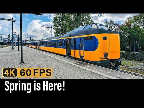 Trein Cabinerit / Lente is hier! / Enschede - Amersfoort - Amsterdam / ICM + SNG / April 2024