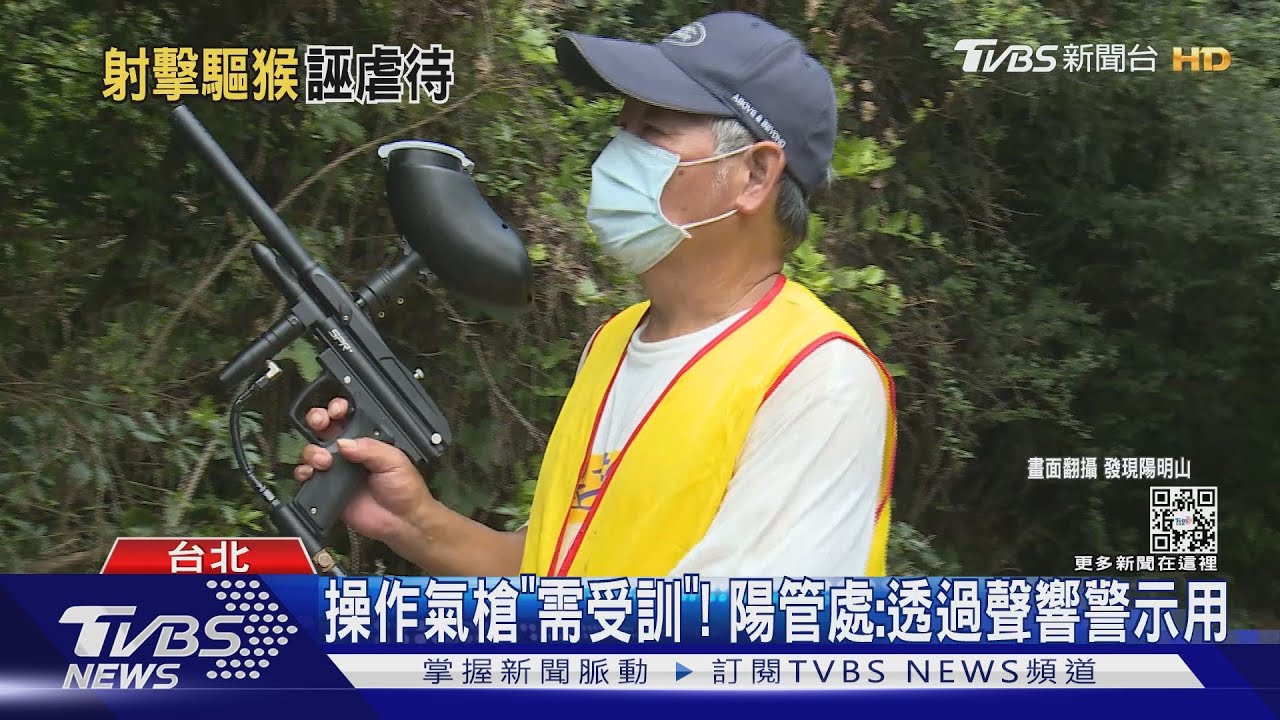 陽明山群猴出沒！搬空南瓜園　3里配「氣槍」驅趕