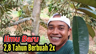 Download lagu Two Years, Two Fruits‼️A Comprehensive Discussion of the Methods and Types of Fertilizers We Use mp3