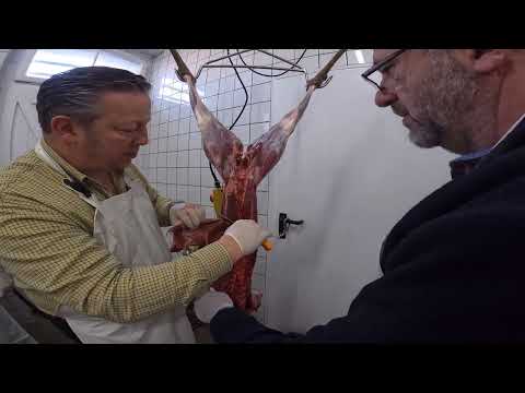 Jagdschule NRW Wildbrethygiene Praxis Teil 2