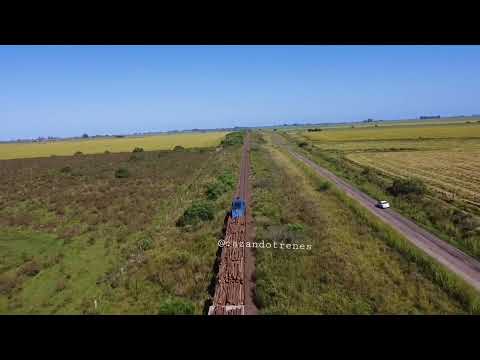 Descarrilo de un tren con pinos en General Campos, Entre Ríos. G22 7908!