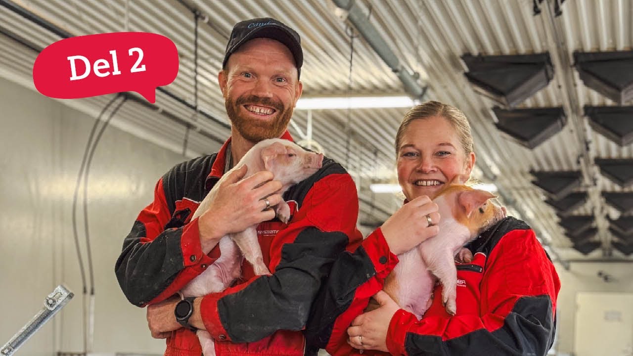 Smart teknologi og optimal drift hos Brede Bacon