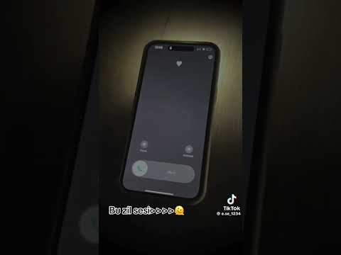 zil sesi her nerdeysen