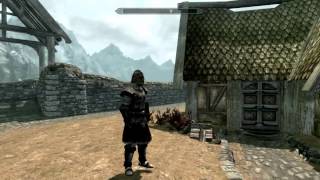 TES 5: Skyrim - Виды брони