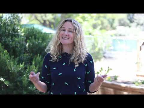 Welcome to CHME Charter