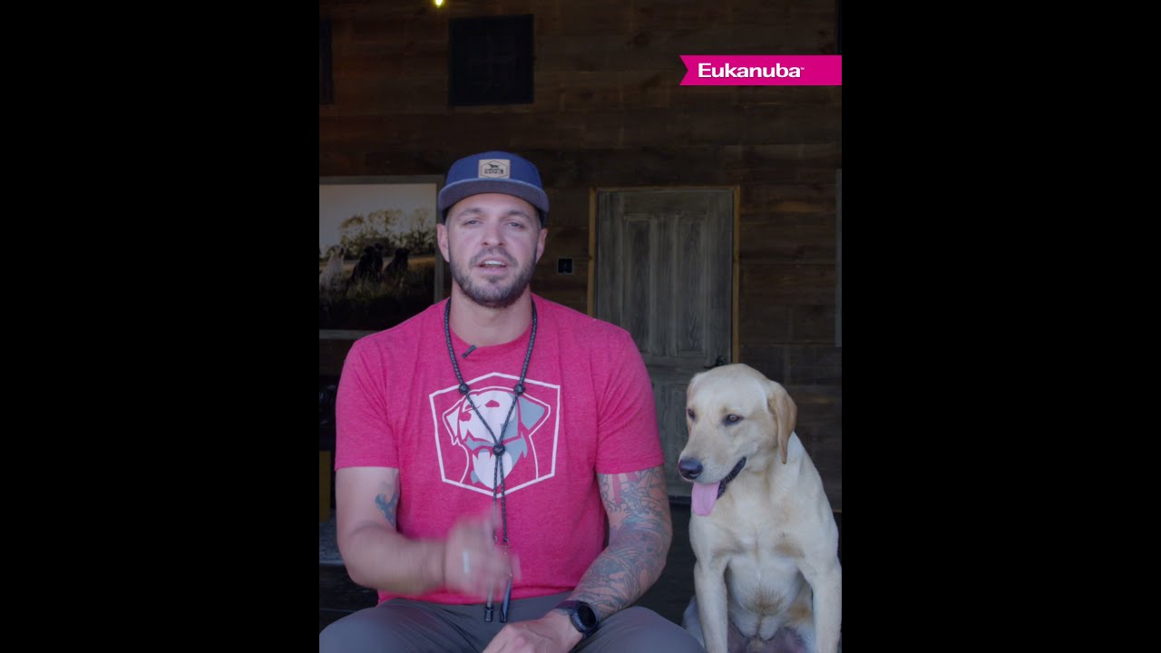 Train with Team Eukanuba