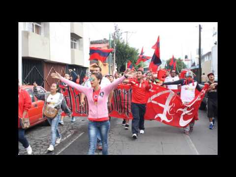 "Una calle me separa, Tiburones rojos de veracruz, Barra caballeros." Barra: Guardia Roja &bull; Club: Tiburones Rojos de Veracruz