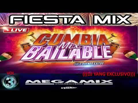 MIX CUMBIAS BAILABLES VOL 3 (((DJ YANG EXCLUSIVO)))