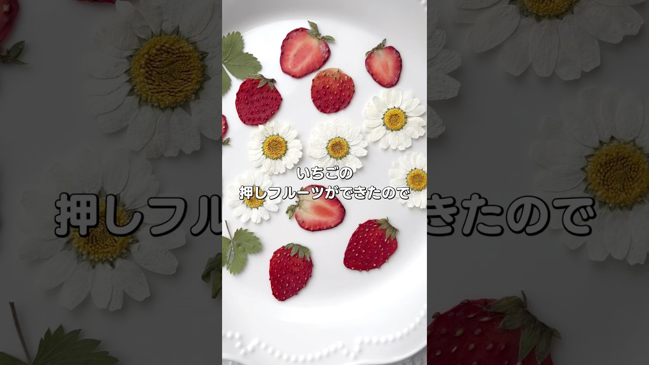 🍓いちごの押しフルーツで作るミニランタン作り♡✨