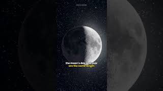 The dark side of the moon! 🌚 #universe #space #earth #Astronomy #Cosmos #moon