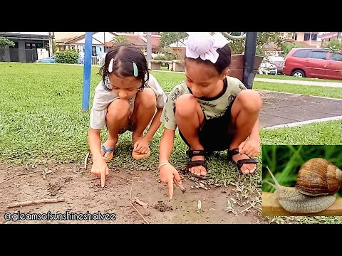 Shalvee & her friend are finding snails or worms??? Check out the video😃