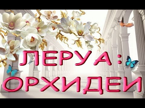 Леруа:ПРЕКРАСНЫЙ завоз ОРХИДЕЙ,21.07.22,ТЦ "Космопорт",Самара,ул. Дыбенко,30.