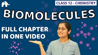 Biomolecules Class 12 Chemistry | NCERT Chapter 14 | One Shot |CBSE NEET JEE