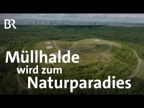 Der Natur überlassen: Die Renaturierung einer Mülldeponie  | Gute Nachrichten vom Planeten | BR