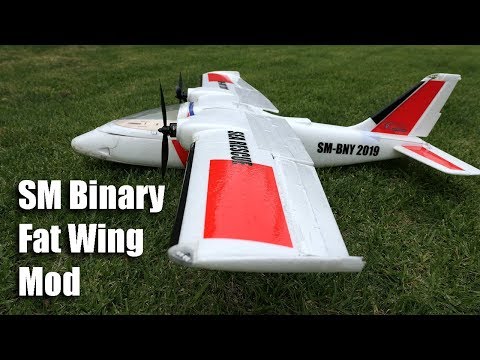 Sonic Modell Binary Fat Wing mod